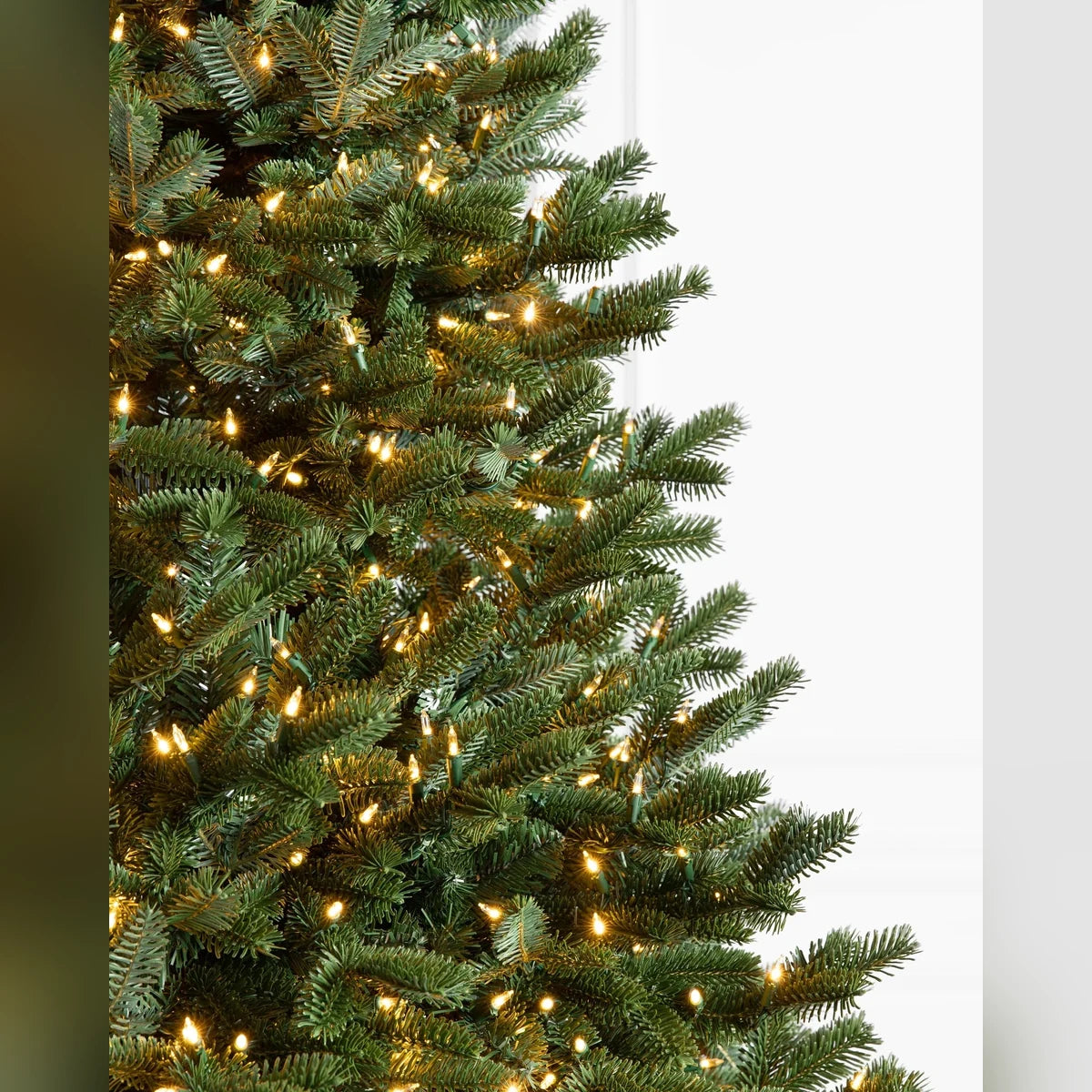 Árvore de Natal Abeto Fraser Imperial