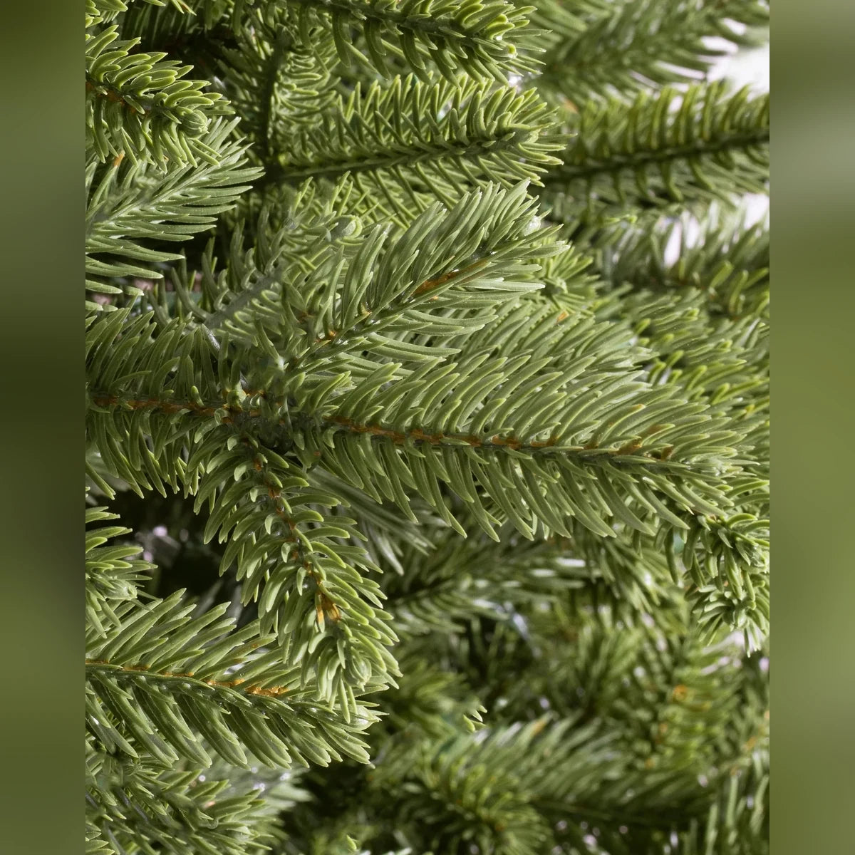 Árvore de Natal Pinheiro Norueguês